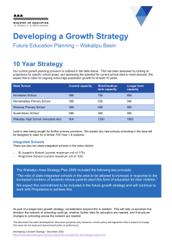 Developing a Growth Strategy