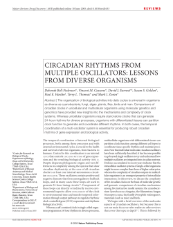 CIRCADIAN RHYTHMS FROM MULTIPLE OSCILLATORS