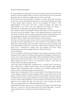 hunting for meaning after midnight？