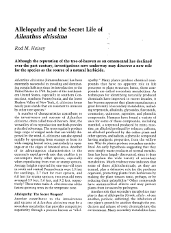 Allelopathy and the Secret Life of Ailanthus altissima