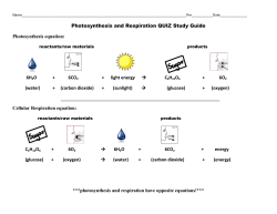 Photosynthesis and Respiration QUIZ Study Guide Photosynthesis