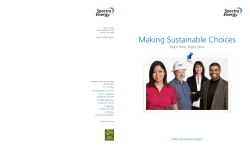 Making Sustainable Choices
