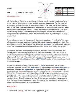 Use 2 different types of beans and poppy seeds