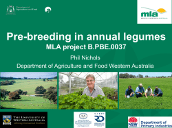 Pre-breeding annual legumes