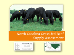 Grass-fed Supply Powerpoint