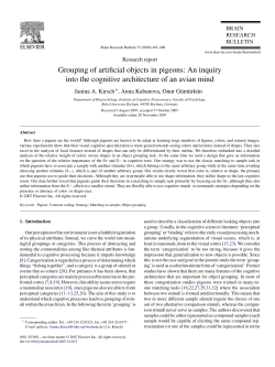 Grouping of artificial objects in pigeons: An inquiry into the cognitive