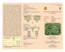 2 Jassids - Central Institute for Cotton Research