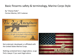 Basic firearms safety 07-27-2014 - no meme examples