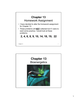 Chapter 13