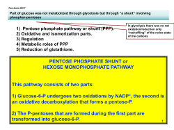 4 Pentose Phosphate Shunt