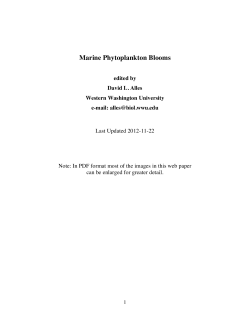 Marine Phytoplankton Blooms - Western Washington University