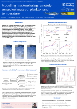 Introduction Food and temperature How does an individual`s