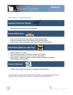 Differentiated Activity on Photosynthesis
