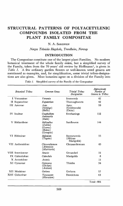 structural patterns of polyacetylenic compounds isolated from the