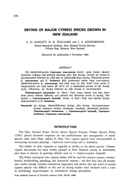 drying of major cypress species grown in new zealand