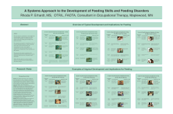 Abstract Overview of Typical Development and