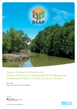 Organic Shrimp Certification and Carbon Financing: An