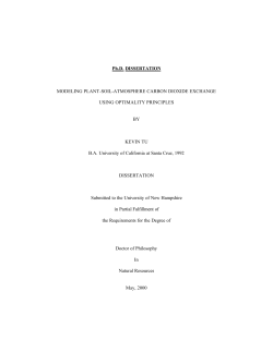 Ph.D. DISSERTATION MODELING PLANT-SOIL