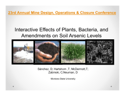 Interactive Effects of Plants, Bacteria, and