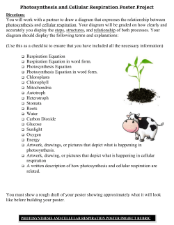 Photosynthesis and Cellular Respiration Poster Project