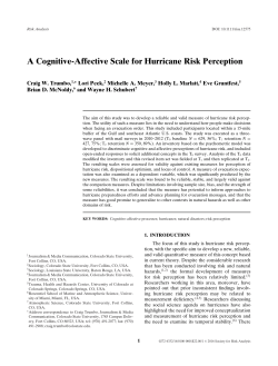 A cognitive-affective scale for hurricane risk