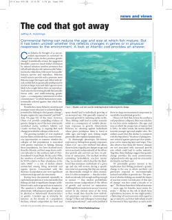The cod that got away