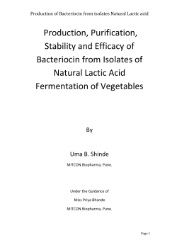 Production of Bacteriocin from isolates Natural Lactic acid