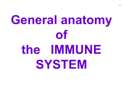 THE IMMUNE SYSTEM
