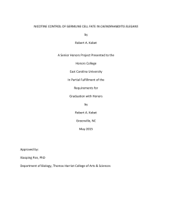 Thesis1 - The ScholarShip at ECU
