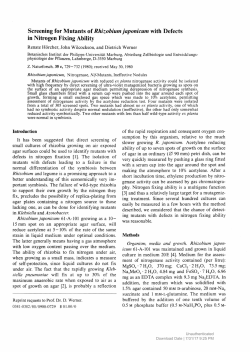 Screening for Mutants of Rhizobium japonicum with