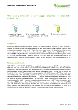 Enzymatic activity assay