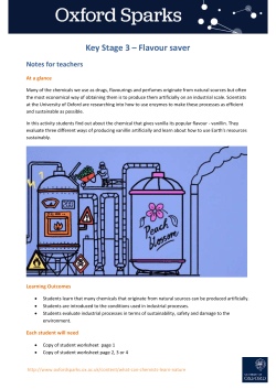 KS3_flavour saver_Teachers_Notes