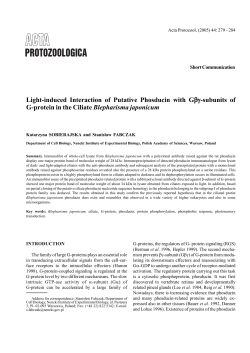 Light-induced Interaction of Putative Phosducin with G&beta;&gamma;