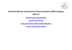 Provision Map for Lancasterian Primary School by SEND Category