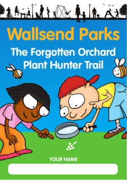 Plant Hunter Leaflet - North Tyneside Council