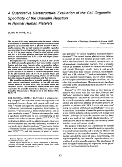 A Quantitative Ultrastructural Evaluation of the Cell Organelle