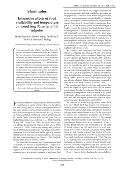 Interactive effects of food availability and temperature on wood frog