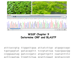 Is this a partial ORF cDNA clone?