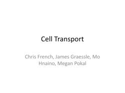Cell Transport