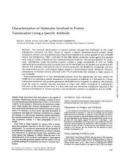 Characterization of Molecules Involved in Protein Translocation