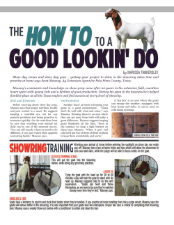 Show day comes and show day goes &ndash; getting your
