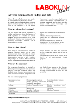 Adverse food reactions in dogs and cats