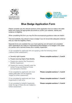 Blue Badge Application Form
