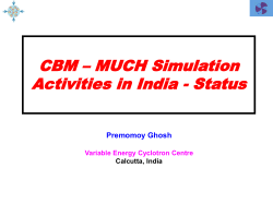 Muon simulations