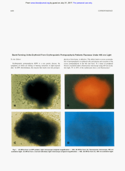 Burst-Forming Units-Erythroid From Erythropoietic