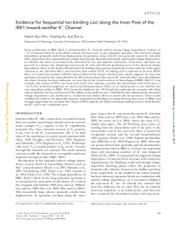 Evidence for Sequential Ion-binding Loci along the Inner Pore of the