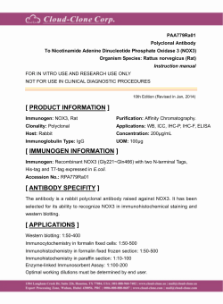 Polyclonal Antibody to Nicotinamide Adenine Dinucleotide