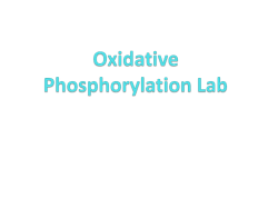 Oxidative Phosphorylation