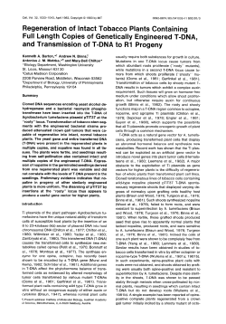 Regeneration of Intact Tobacco Plants Containing Full Length