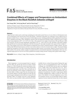 Combined Effects of Copper and Temperature on Antioxidant